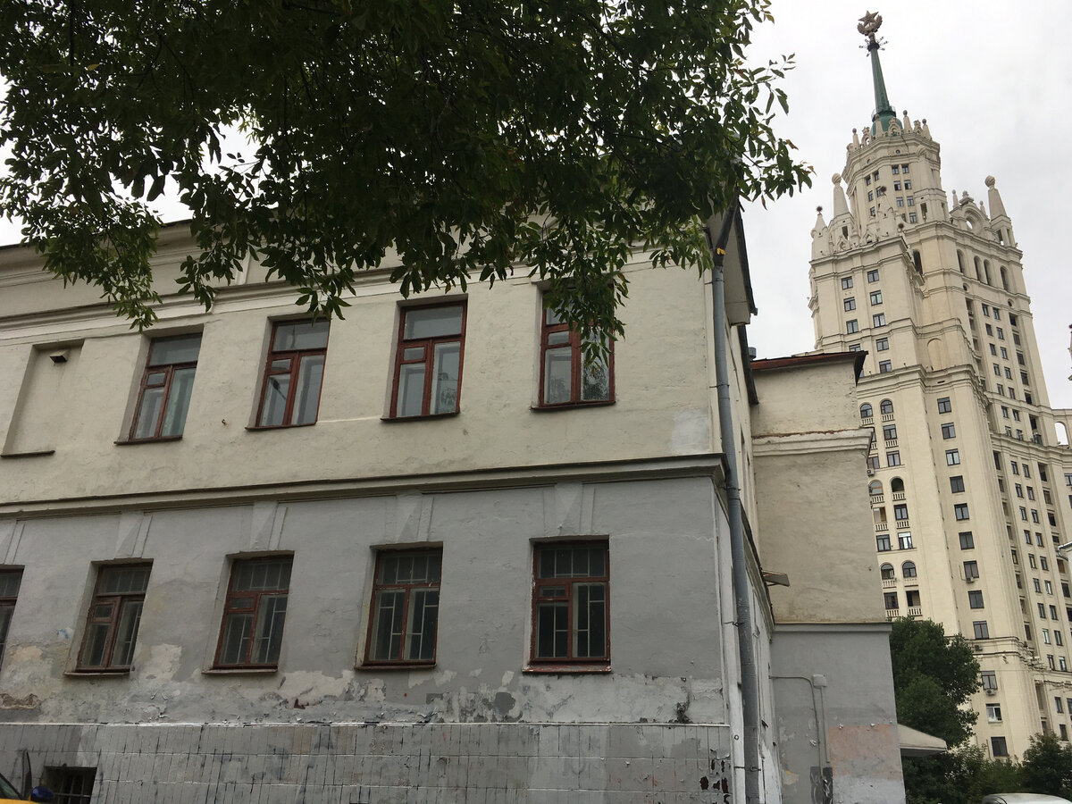 Фото сделано автором статьи