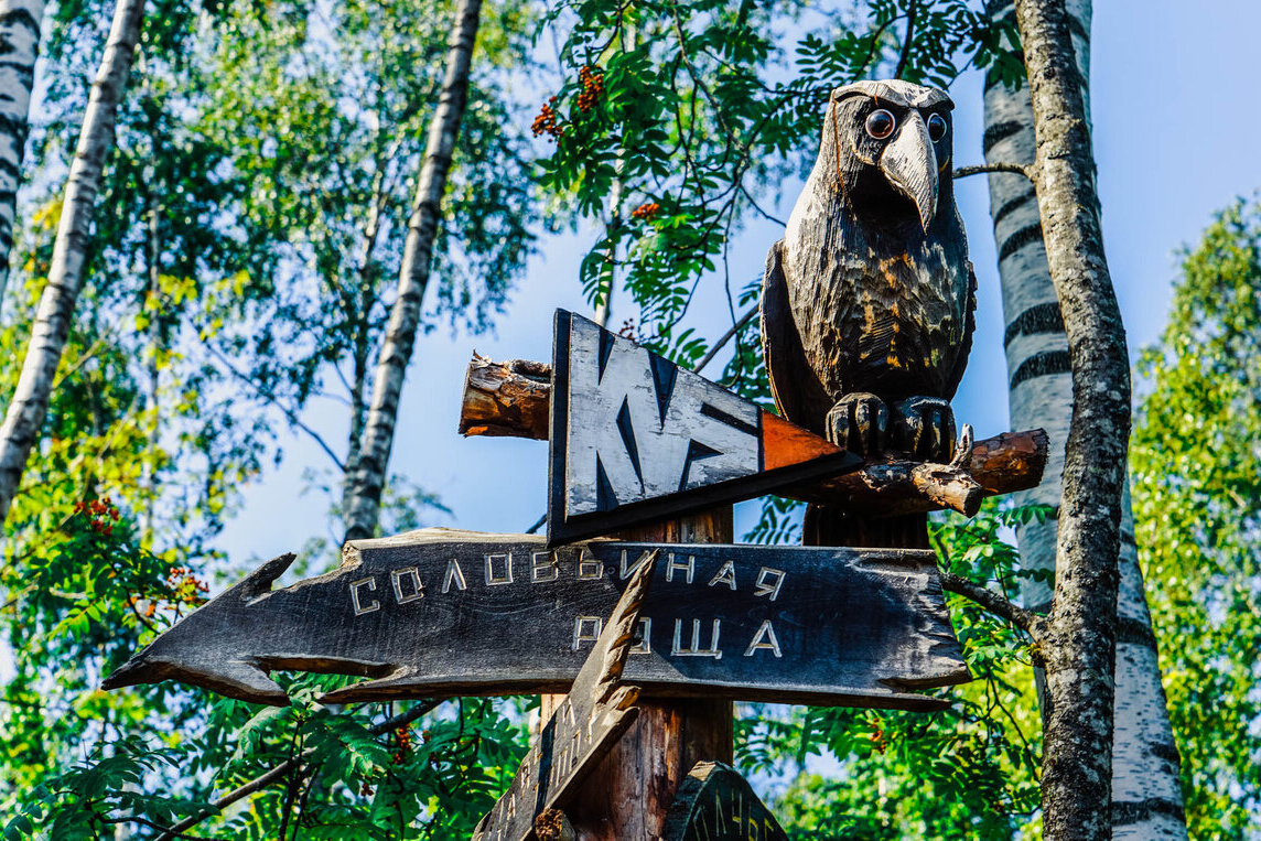 Экологическая тропа «Заповедный лабиринт» в ЖК «Новое Сертолово»