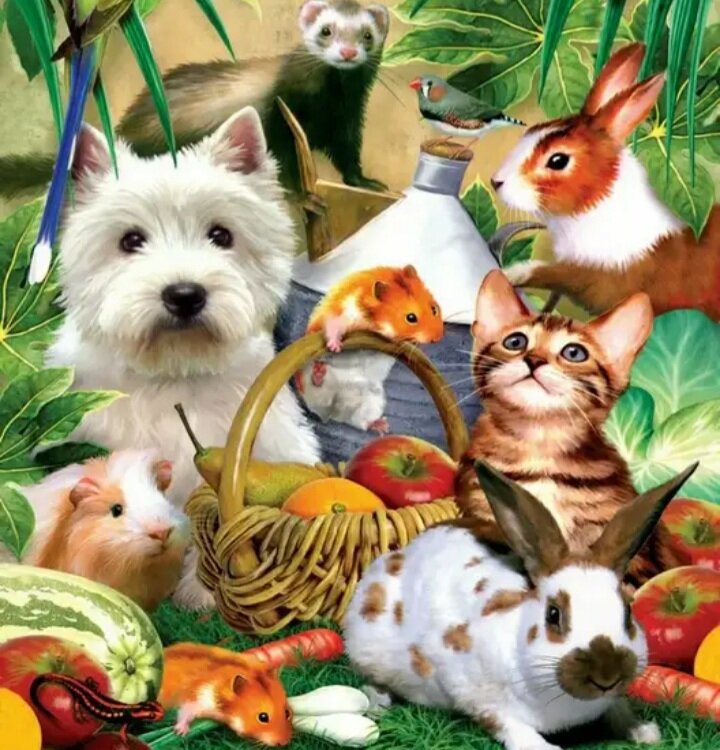 Но зверушек любят, кажется, все дети.