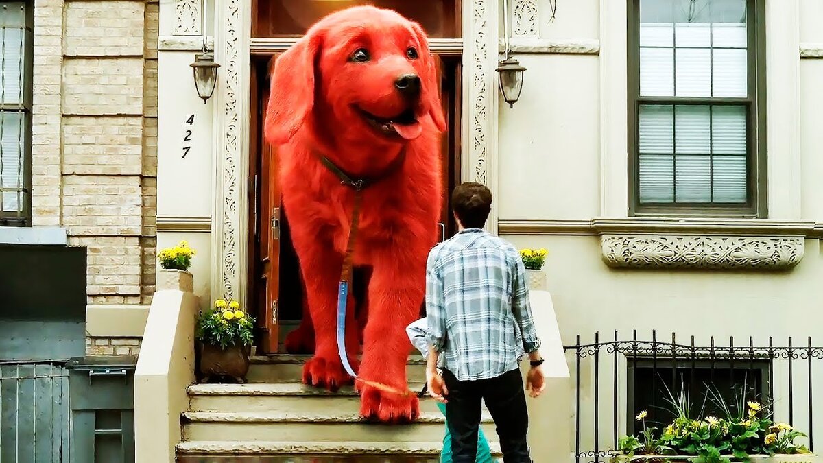 Большой красный клиффорд. Красный пёс Клиффорд 2021. Большой красный пëс Ливорд вильм.