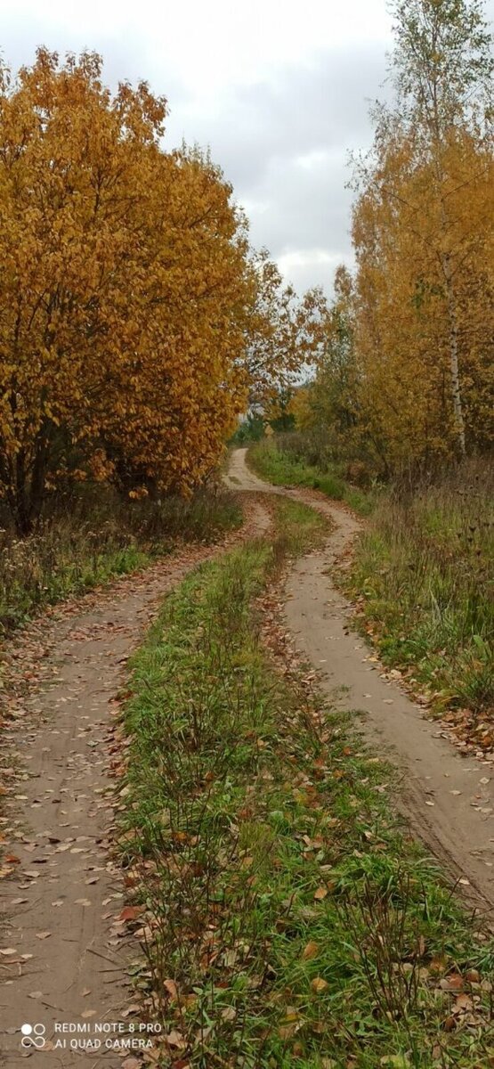 Фото личный архив