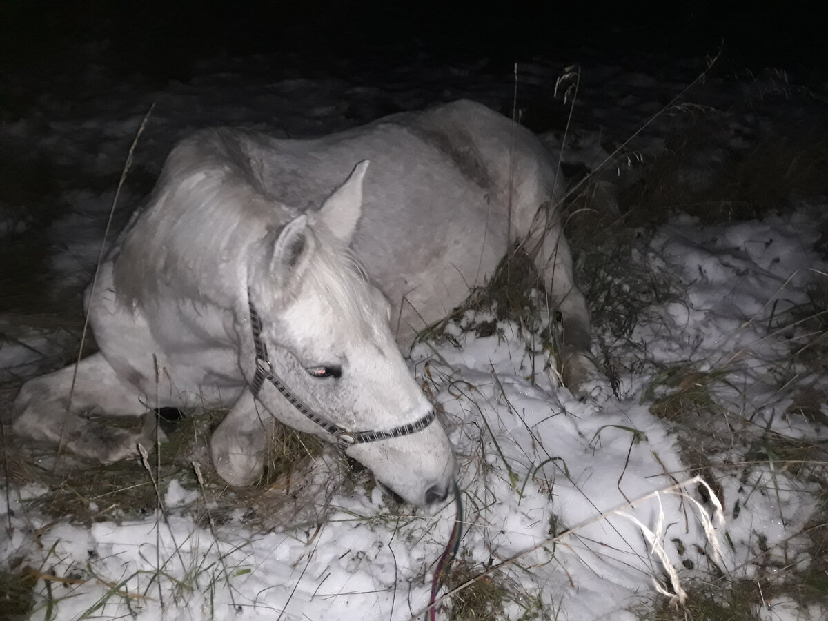Это снимок в другой день. Но для иллюстрации подходит