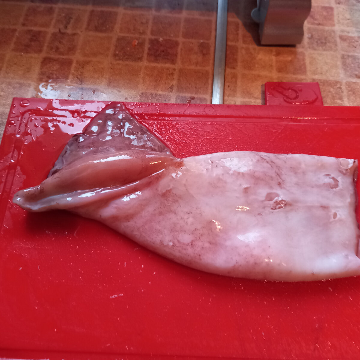 Неочищенная тушка кальмара.