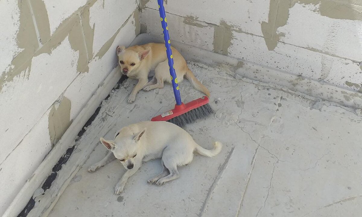 вторая стройка. подметали, устали))