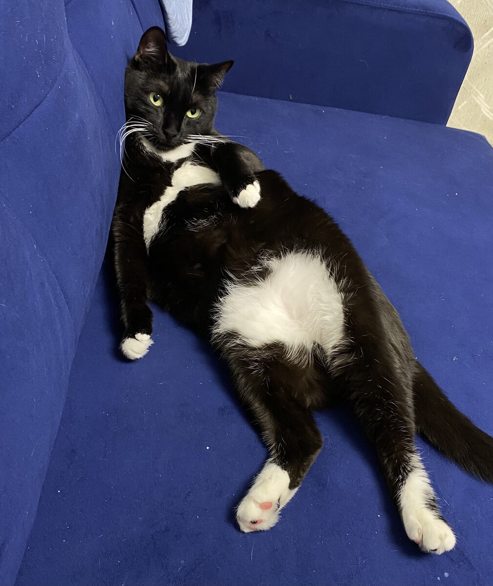 Да, можно прям так лежать