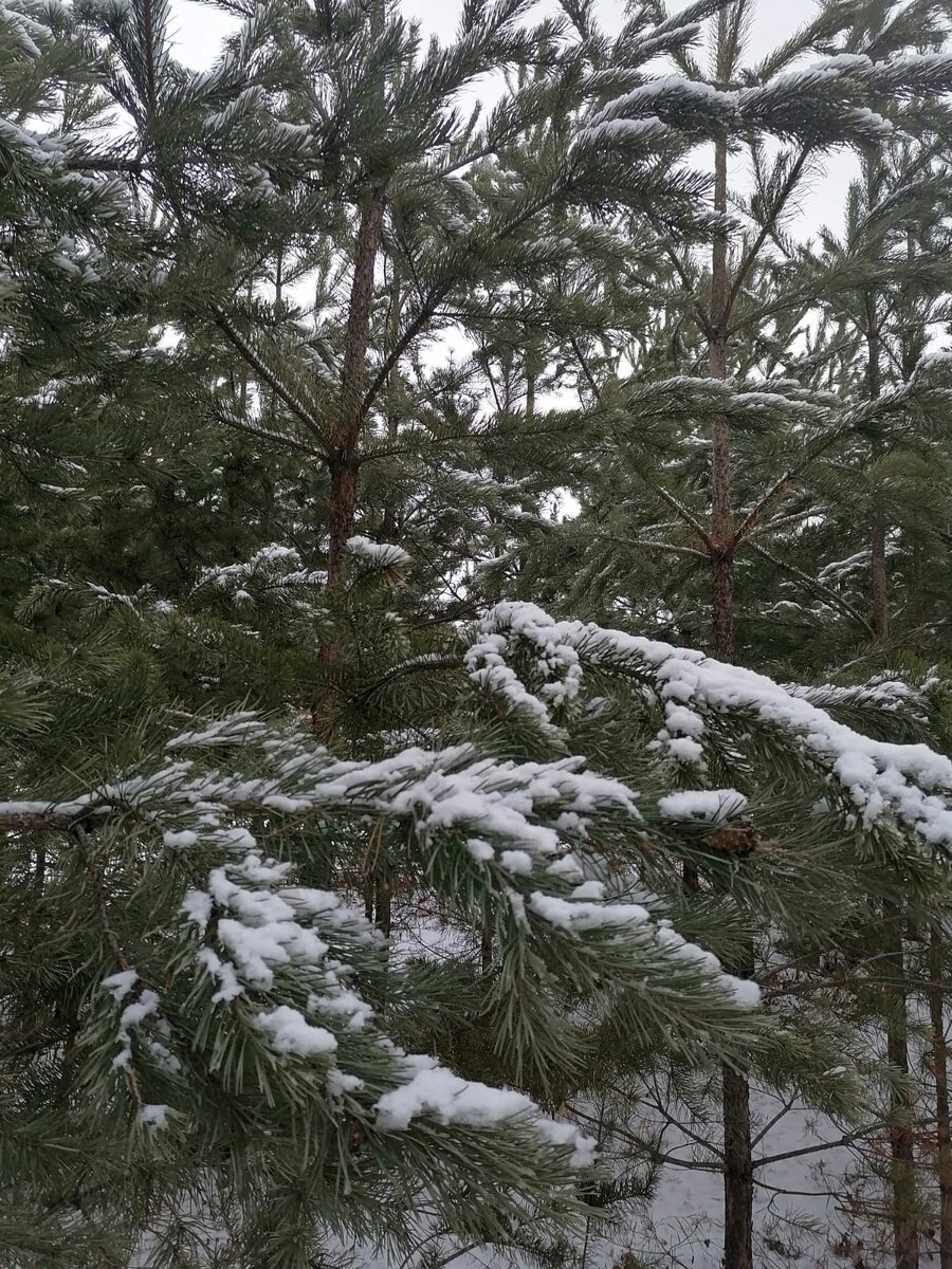 Фото из личного архива автора