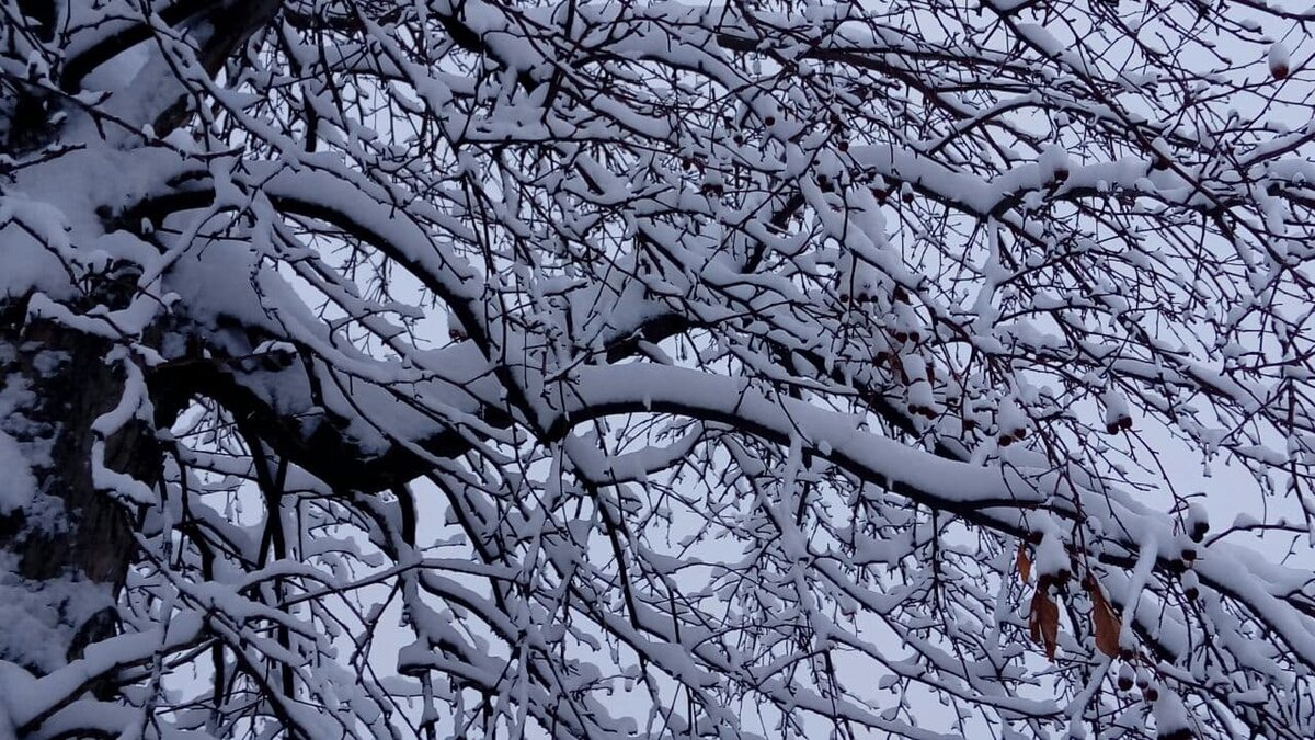 Фото автора.