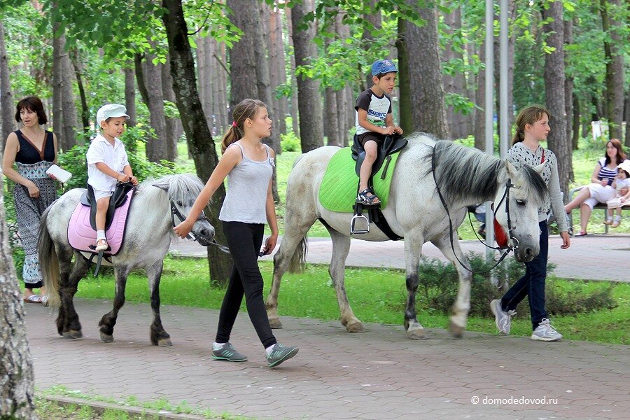 Лошадка в парке. Покататься на лошади в парке. Дети катаются на лошадях в городе. Катание на лошадях в городе.