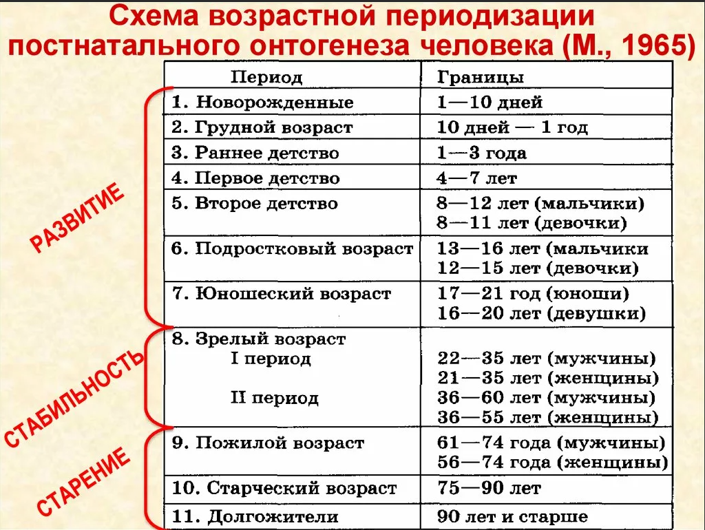 Стадия действия проявляющаяся в описании детьми картинок характерна для какого возраста