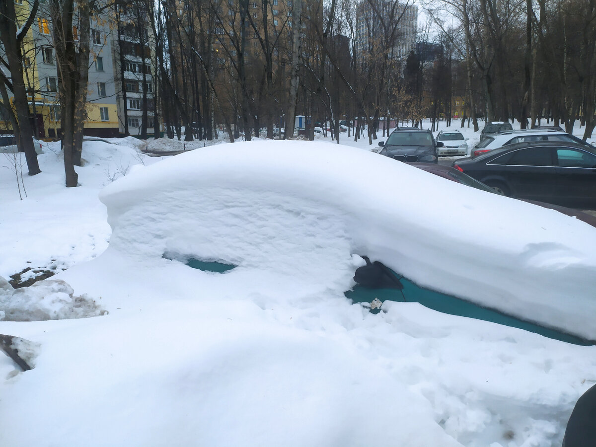 К машине не подходили всю зиму.