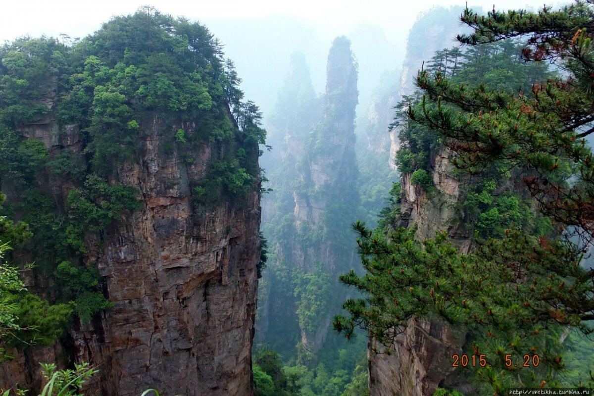 Фото взято с сайта https://funart.pro/26485-chzhanczjacze-nacionalnyj-lesnoj-park-60-foto.html
