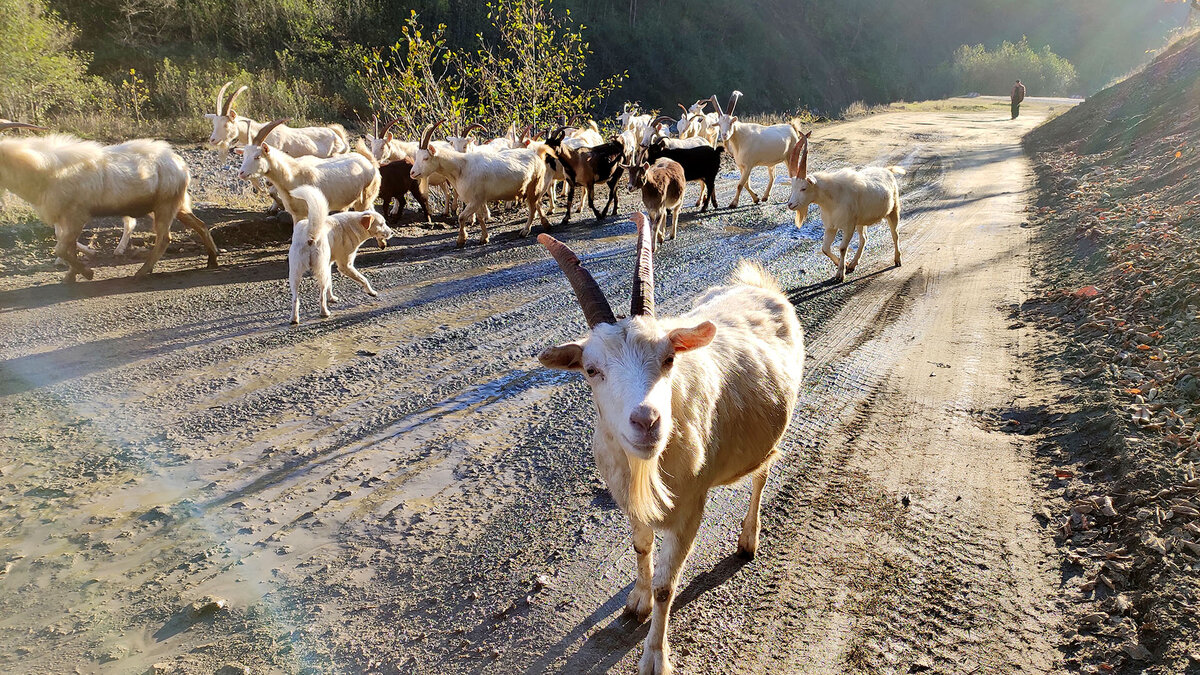 Авторство в своей жизни - это единственная возможность прожить ее ярко и интересно!