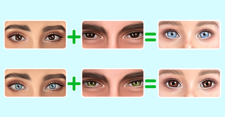 Глаза разного цвета (гетерохромия)
