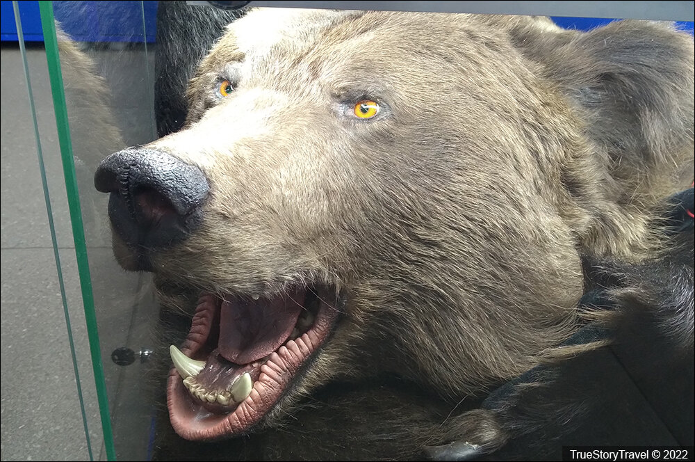 Воронеж - Что продают в аэропорту? Самые странные вещи