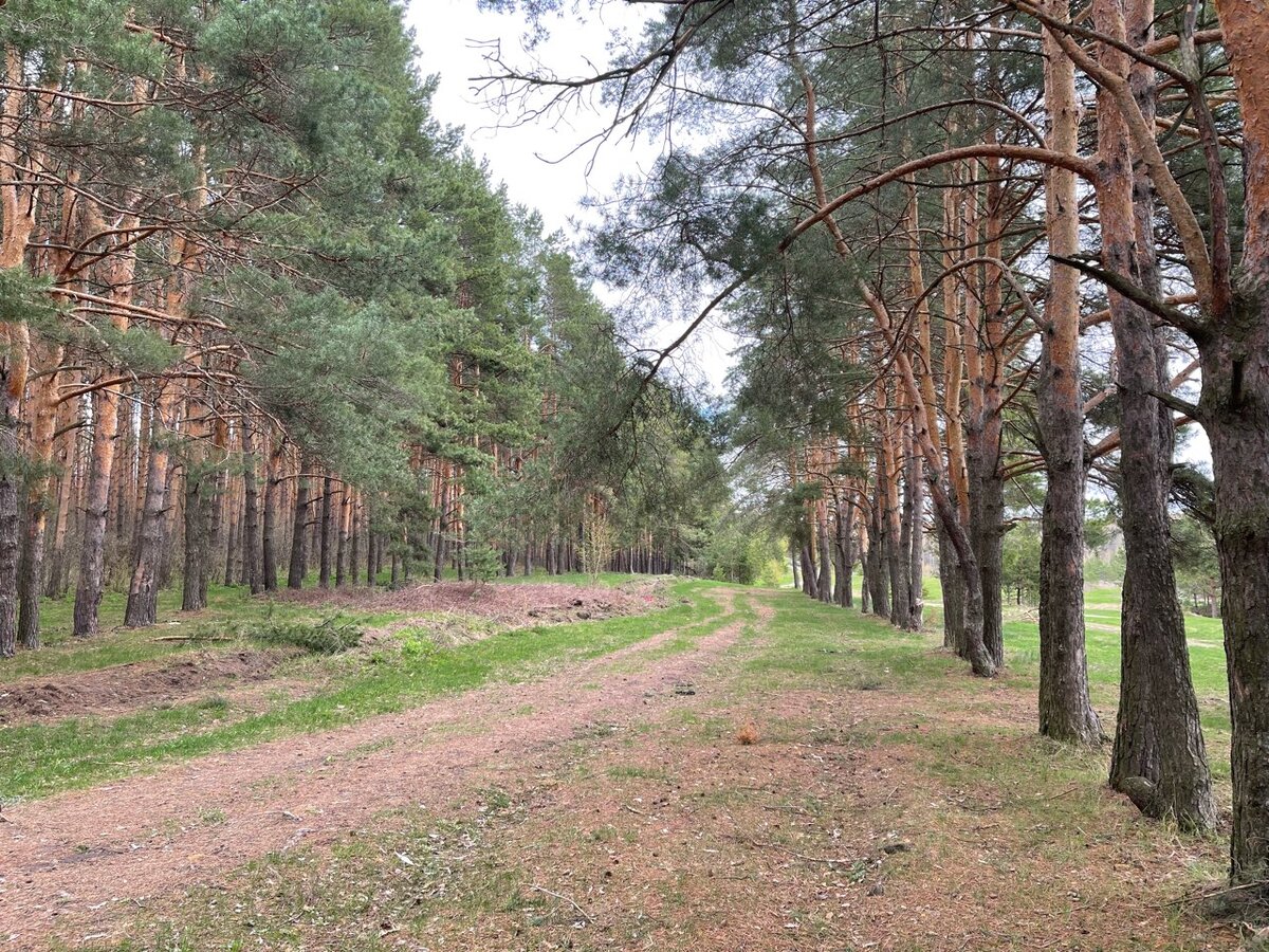  Фото: Наталия Атьянова / ДОМОСТРОЙРФ