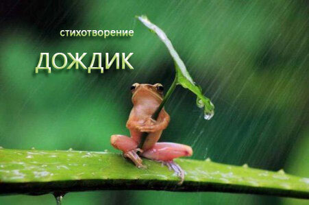 Стихи для детей