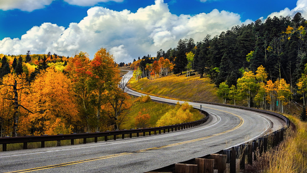 Фото: svabboy photo 