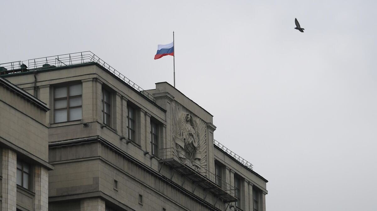    Флаг над зданием Государственной Думы РФ на улице Охотный ряд в Москве© РИА Новости / Алексей Майшев