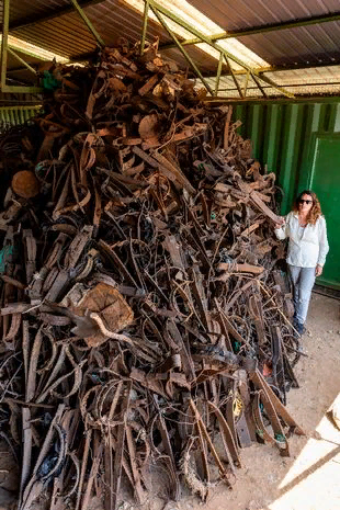 Конфискованные силки и ловушки для диких животных, собранные за последние 4 года в Национальном парке королевы Елизаветы (Изображение: Адам Джеррард / Daily Mirror)