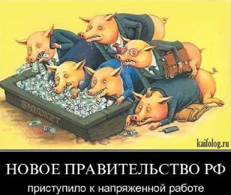 Привет россияне вы твари особенно. Чиновники у корыта. Свинья карикатура. Свиньи у корыта про власть.