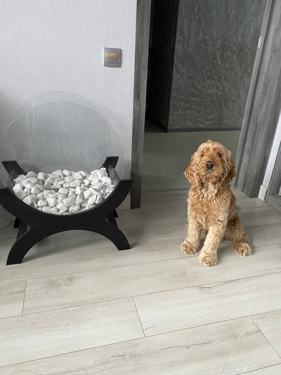 Биокамин — это современное устройство с живым пламенем, не нуждающееся в дымовой вентиляции и не предполагающее использования деревянных поленьев.