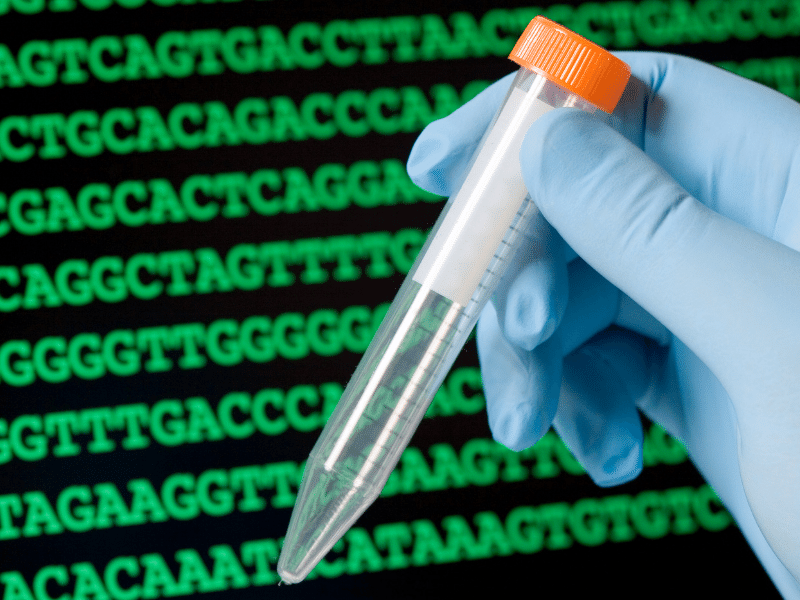 Вся информация о нас зашифрована в молекуле ДНК