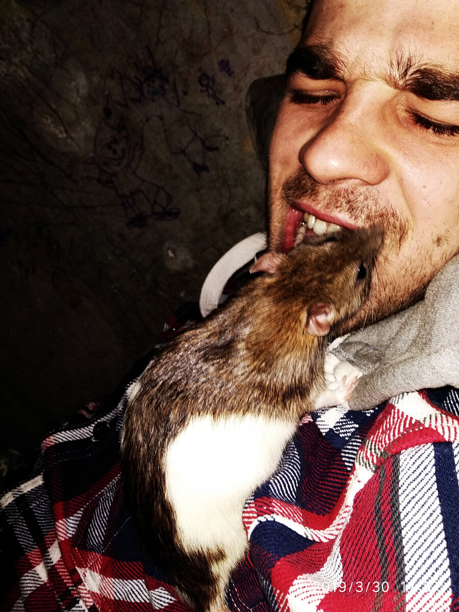 малыш Пуфиндрий.