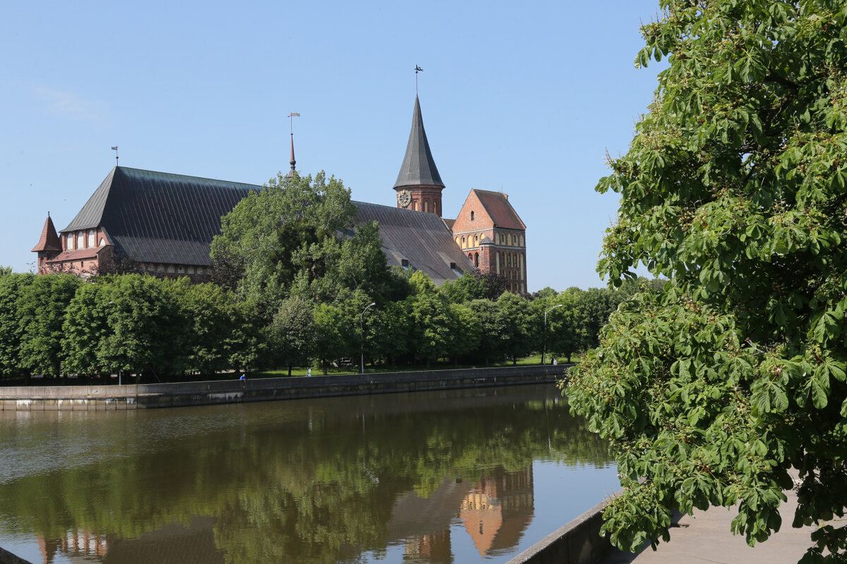 Фото из открытых ресурсов интернета