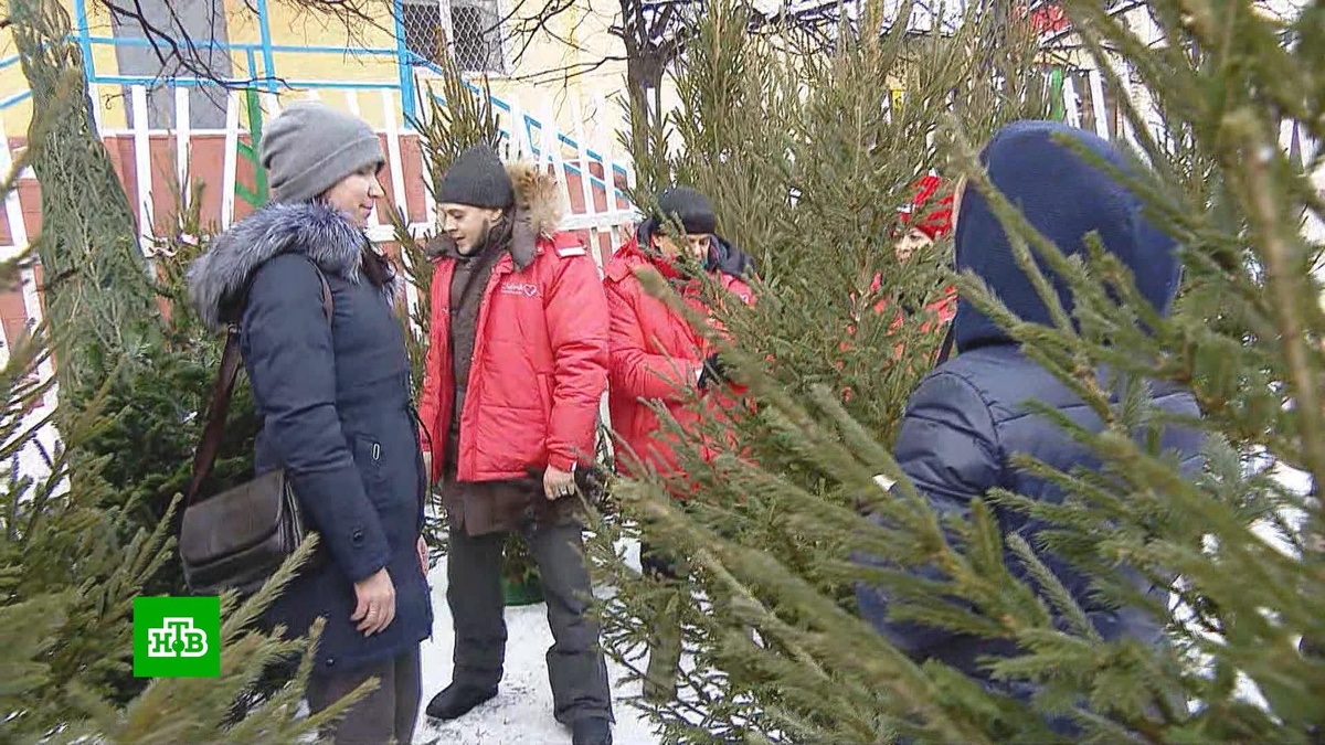    В Москве заработали елочные базары