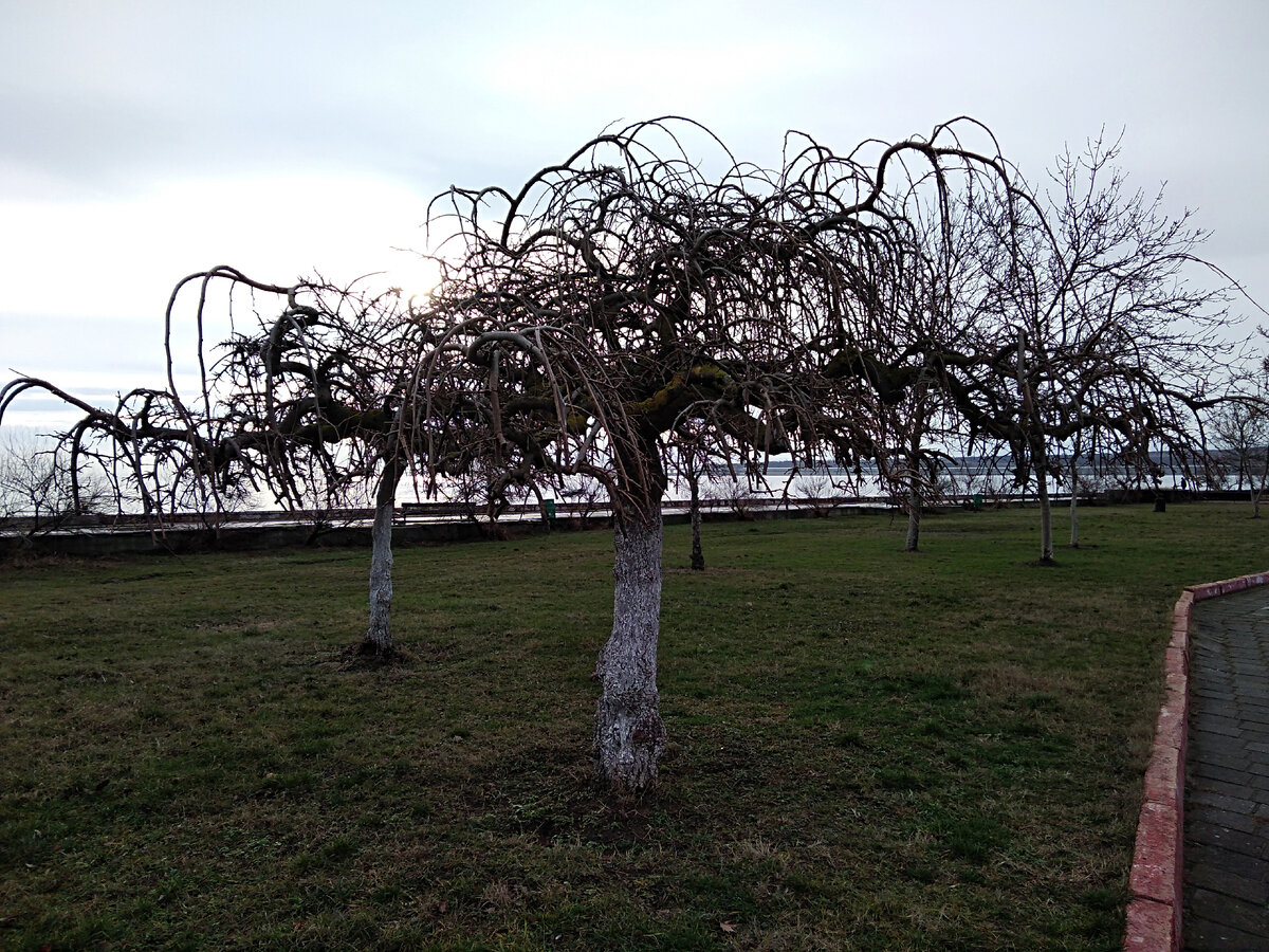 Набережная Керчи. Январь 2022 г.