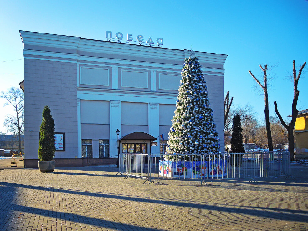 щекино елка 2023. щекино елка 2023. елка в огнях. щекино елка 2023. первомайский парк елка щекино.