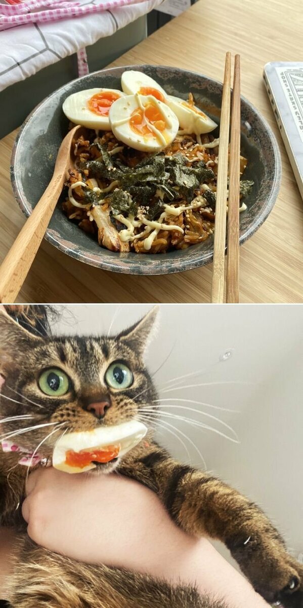 Добавьте описание