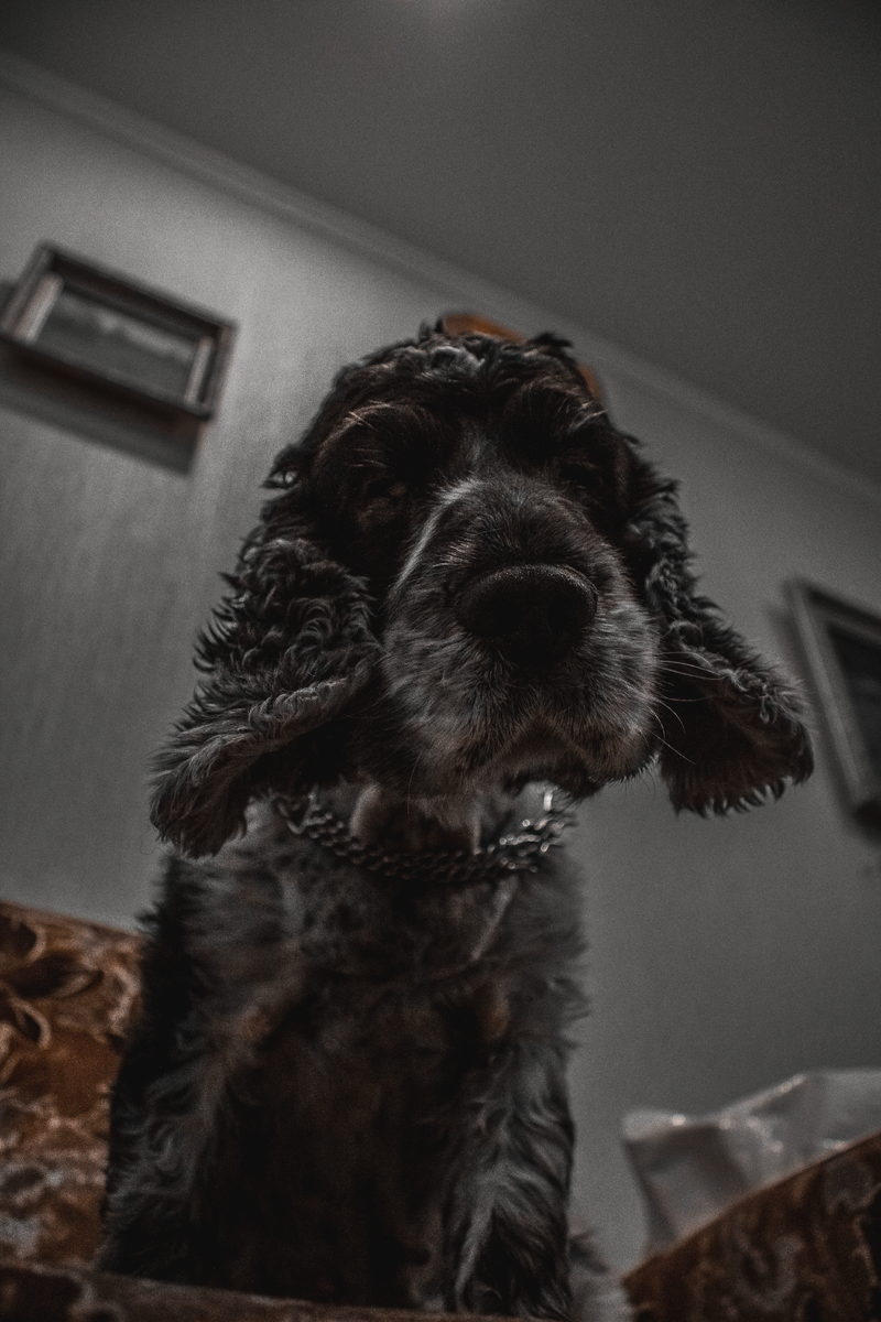 Фоточка на canon 600d с объективом 18-55