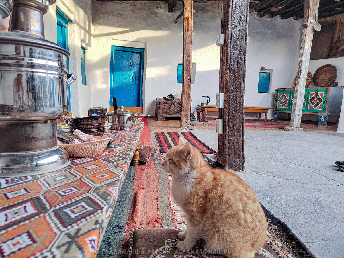 Наш дом в Чиркате. Фото: из личного архива