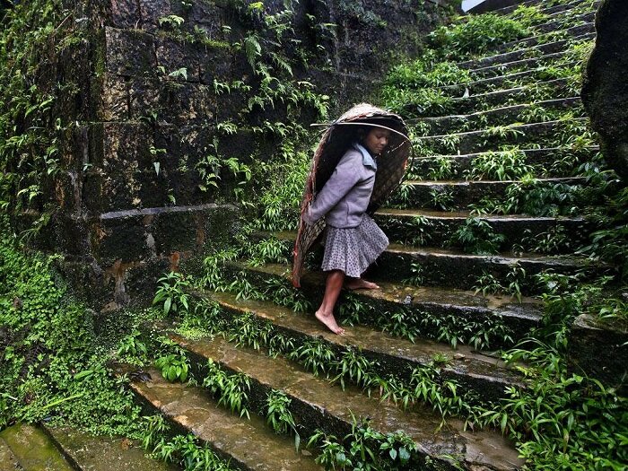 Само влажное поселение на планете. /Фото: hindirus.ru