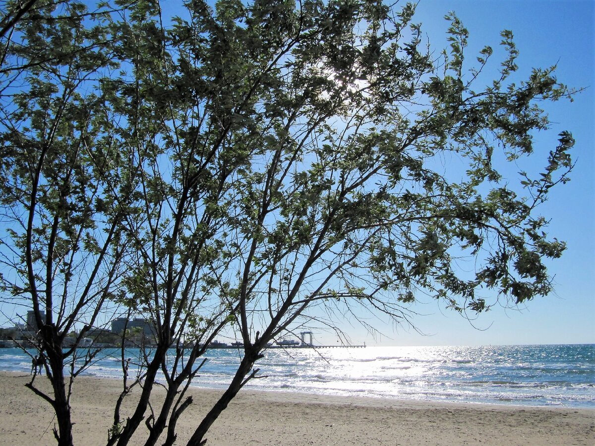 Пляжи ждут отдыхающих