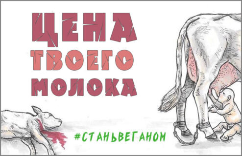 «Почему веганство, а не просто вегетарианство?»