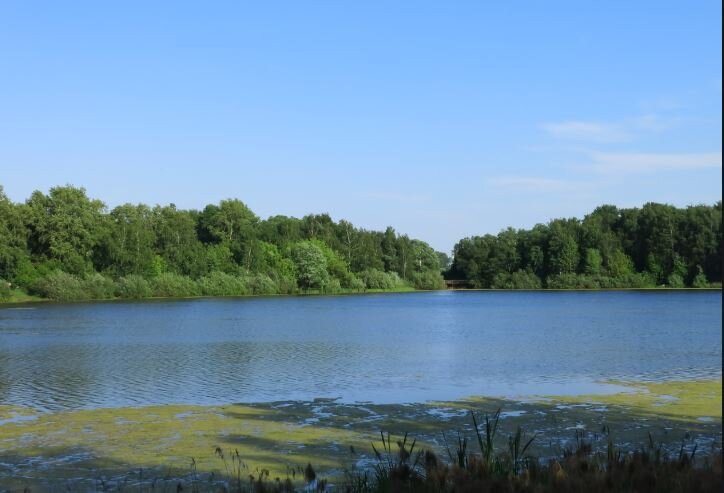 ПроРеутов — Отдых у воды в Реутове и рядом