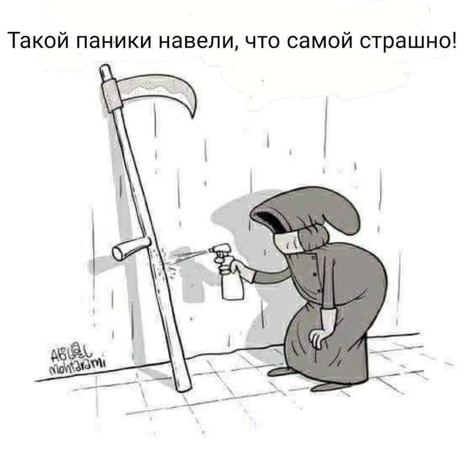 Фото с яндекс картинки 