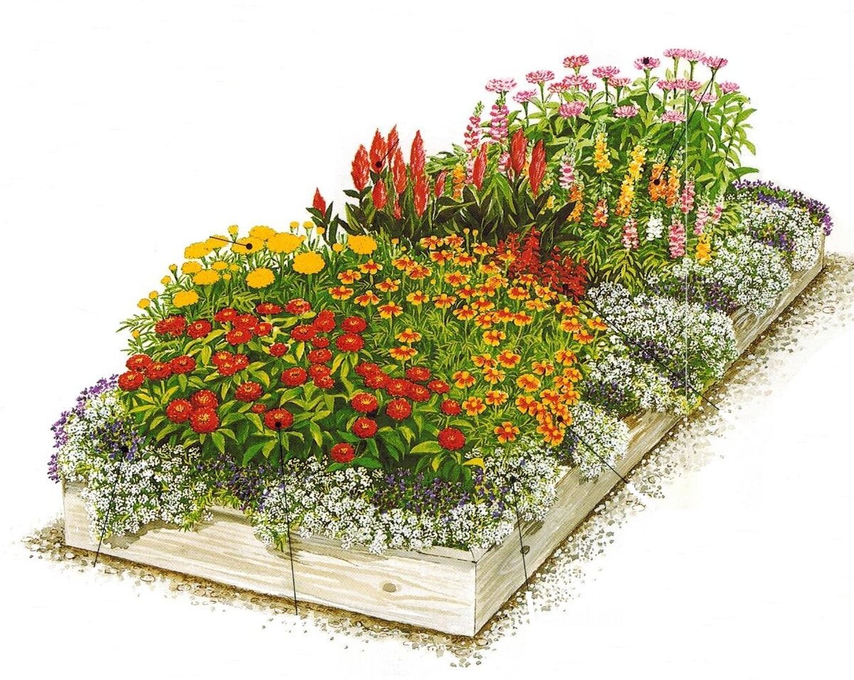 Высокая клумба