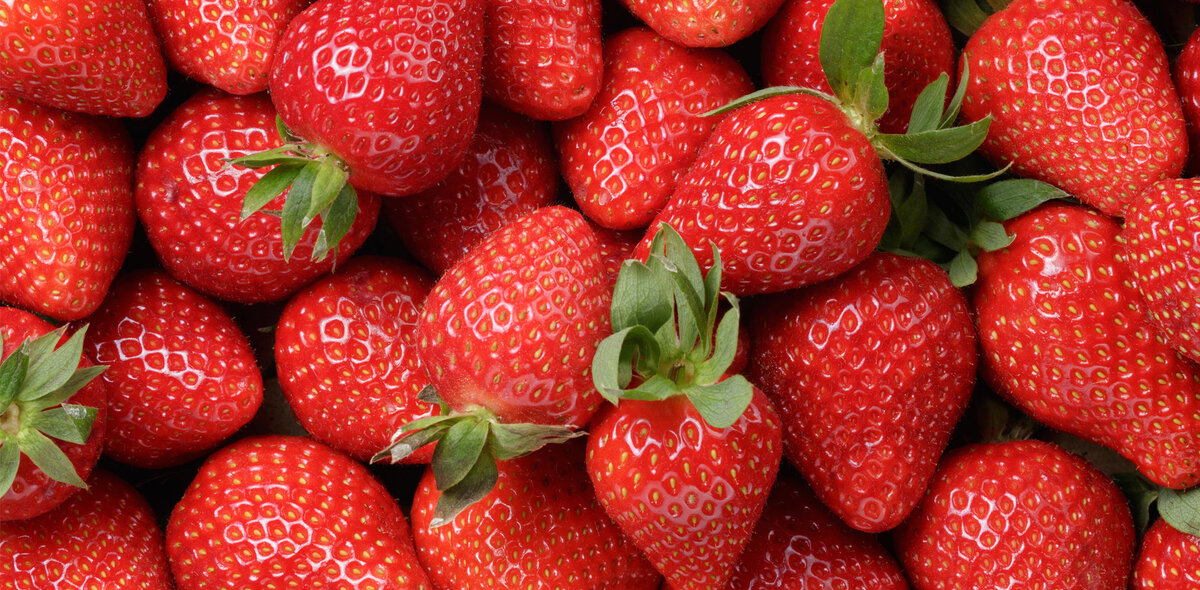 Фото на обложке: GCapture/Shutterstock 