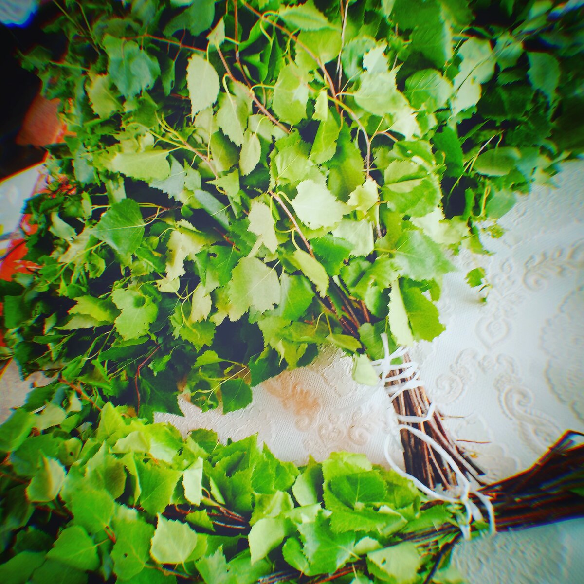 Березовые веники