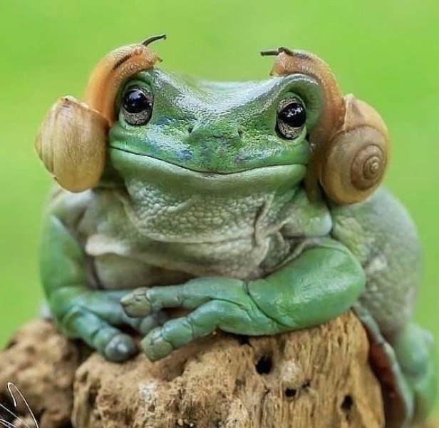 Борис Кузьмичёв