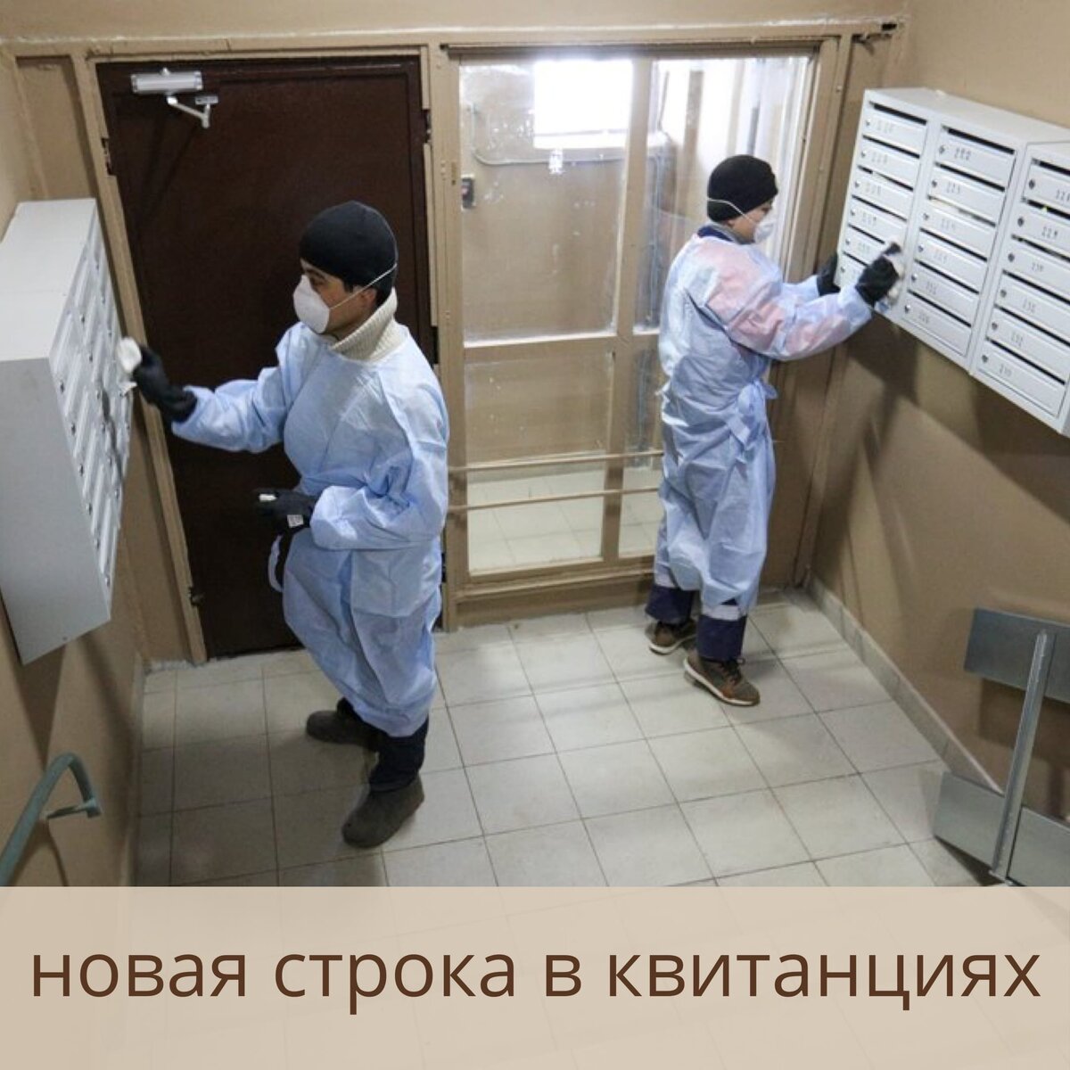 источник фото: https://vk.com/dmitry.khorkov?w=wall244135596_4216%2Fall