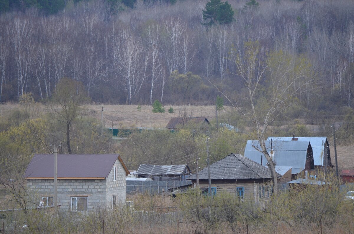 В нашей деревне. Фото автора