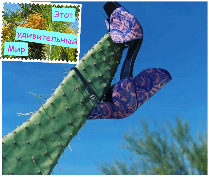 Подпишитесь на канал! Так Вы поможете развитию канала. Заранее спасибо!