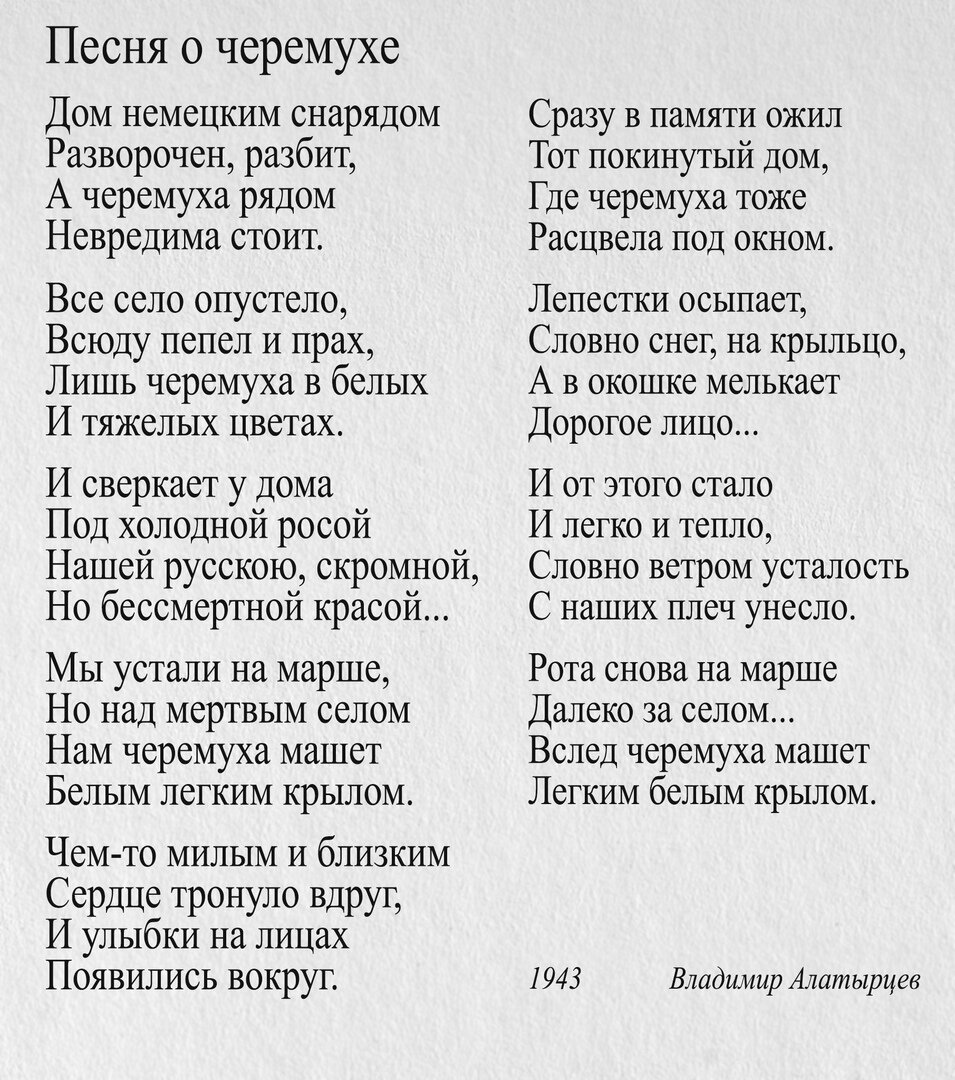 Белая песня. Слова сумишевский. Черёмуха белая текст. Слова песни белая черемуха. Черёмуха белая текст.