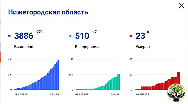 Скриншот с сайта стопкоронавирус.рф
