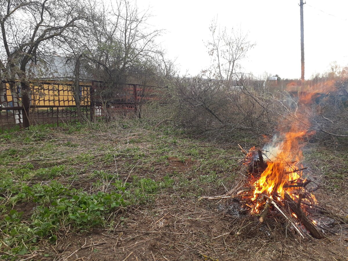 Обожгла себе все, что только можно