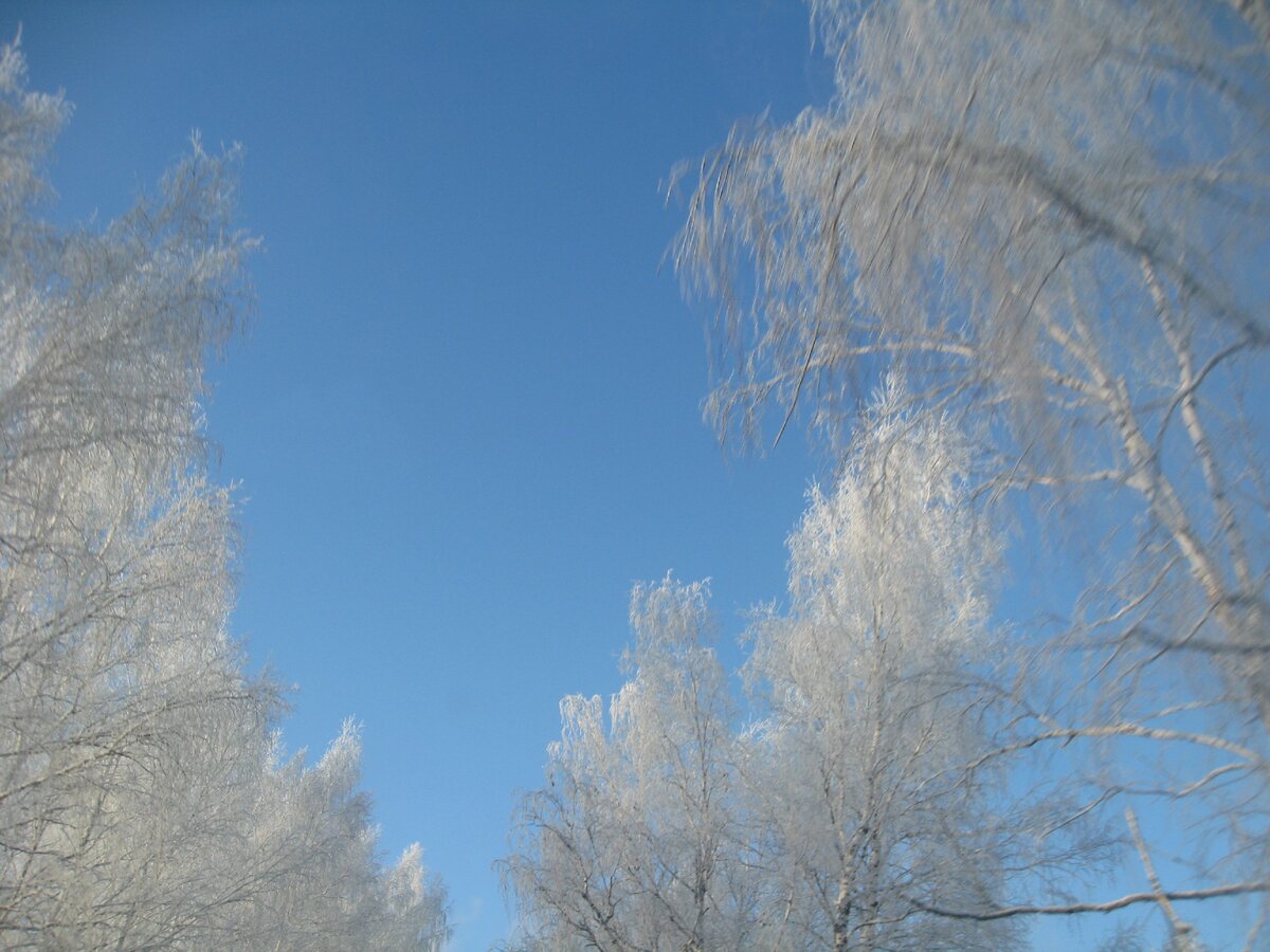 Личное фото